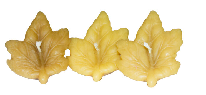 Set of 3 thick floating leaf candles made from 100% pure organic beeswax, isolated on a black background