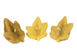 Set of 3 thick floating leaf candles made from 100% pure organic beeswax, showing the detailed leaf design