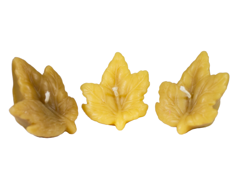 Set of 3 thick floating leaf candles made from 100% pure organic beeswax, showing the detailed leaf design